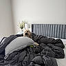 dog, bedroom, bed, bedding, duvet, pillow, headboard, indoor, home, furniture, fluffy, small_dog, pet, portrait, peeking, relaxed, gray, white, lamp, plant