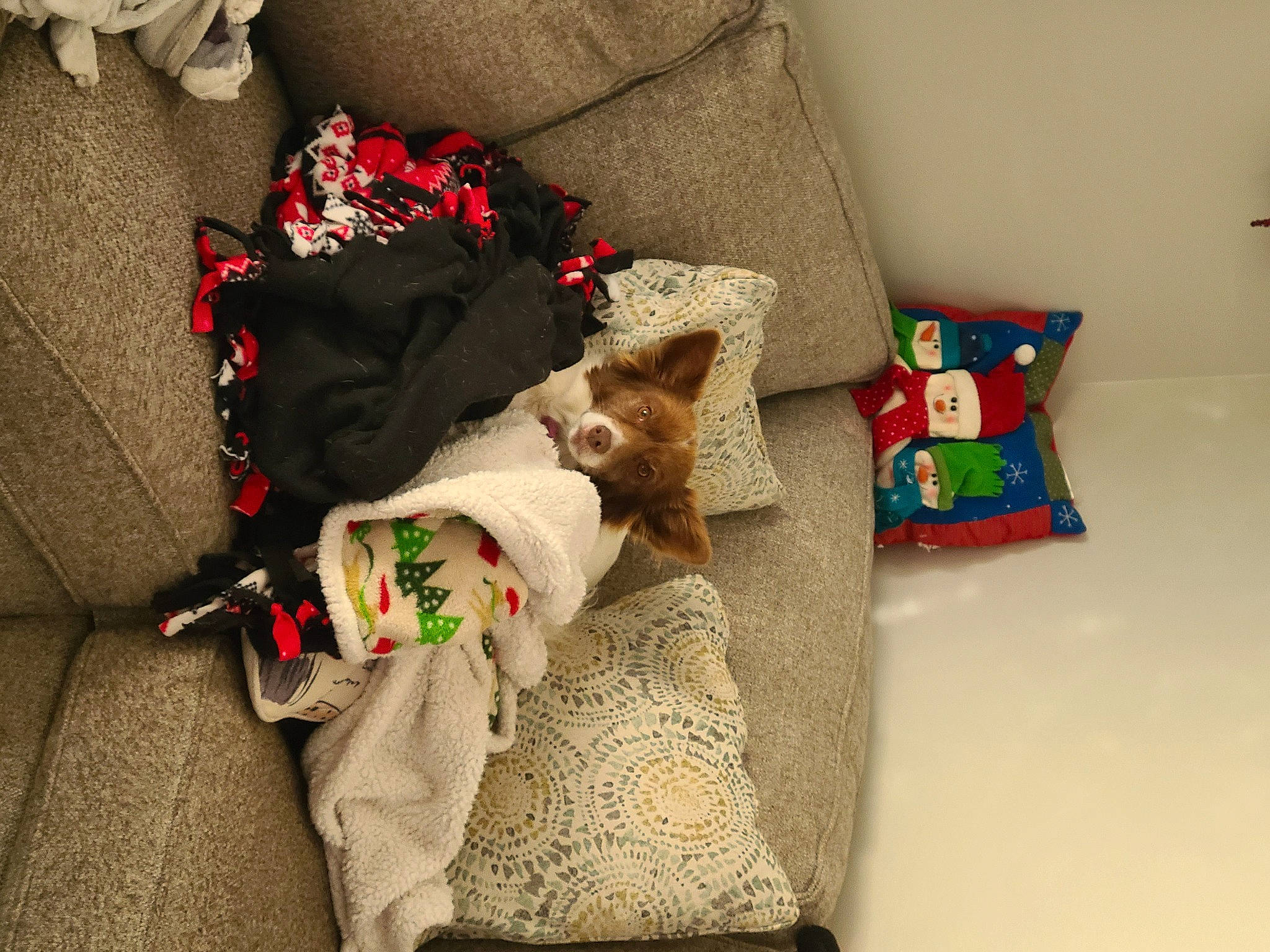 Cashew joined the competition — help win amazing prizes! baby_toddler_clothing, bag, bedding, carmine, comfort, coquelicot, fashion_accessory, fashion_design, flooring, fur, home_accessories, interior_design, linens, pattern, pillow, rectangle, room, sleeve, throw_pillow, wood