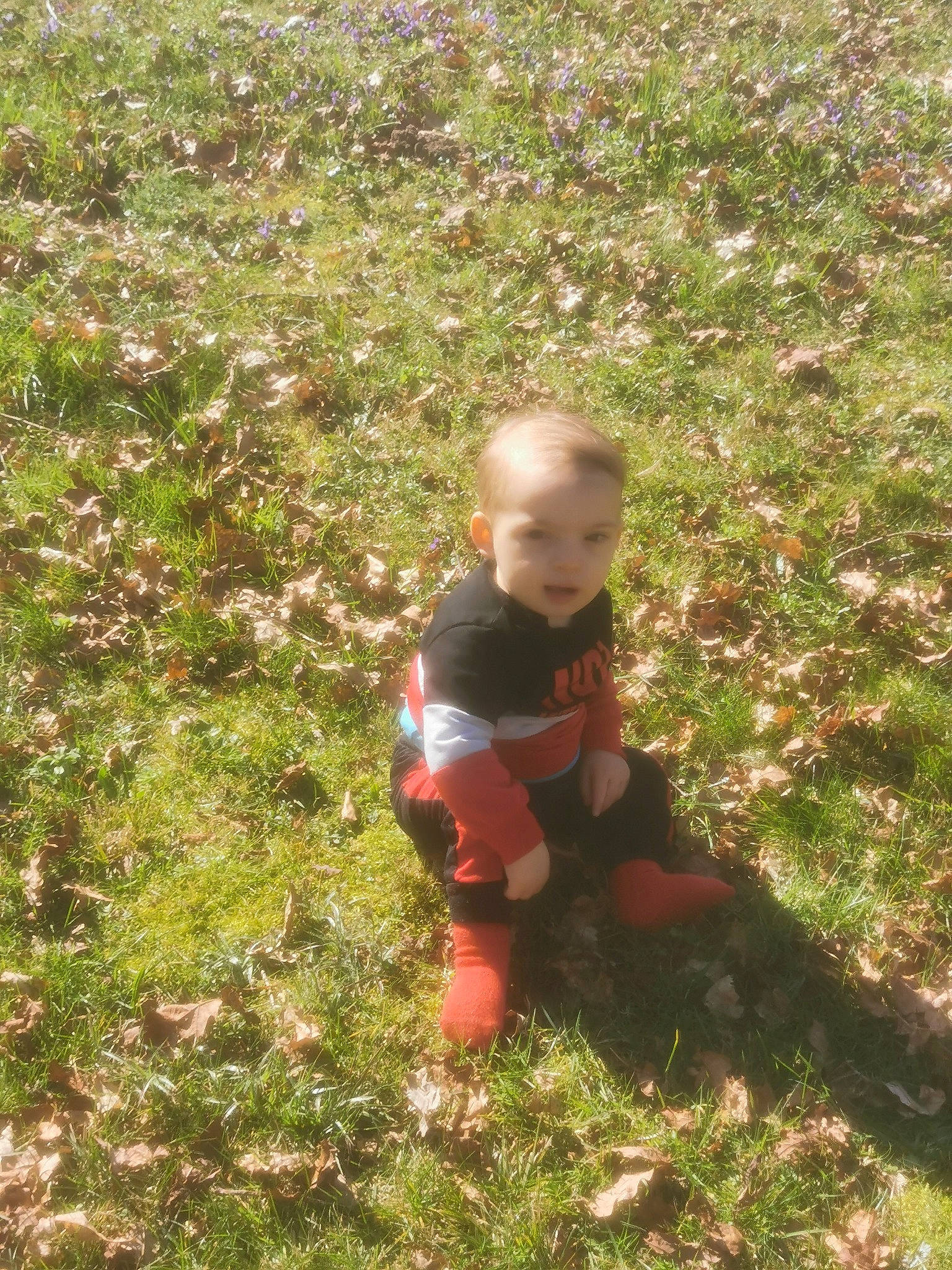 Paülo a rejoint le concours — aidez-le/la à gagner de superbes lots ! baby, baby_toddler_clothing, child, flooring, fun, garden, grass, grass_family, grassland, groundcover, happy, lawn, meadow, people_in_nature, person, plant, shrub, sitting, soil, toddler