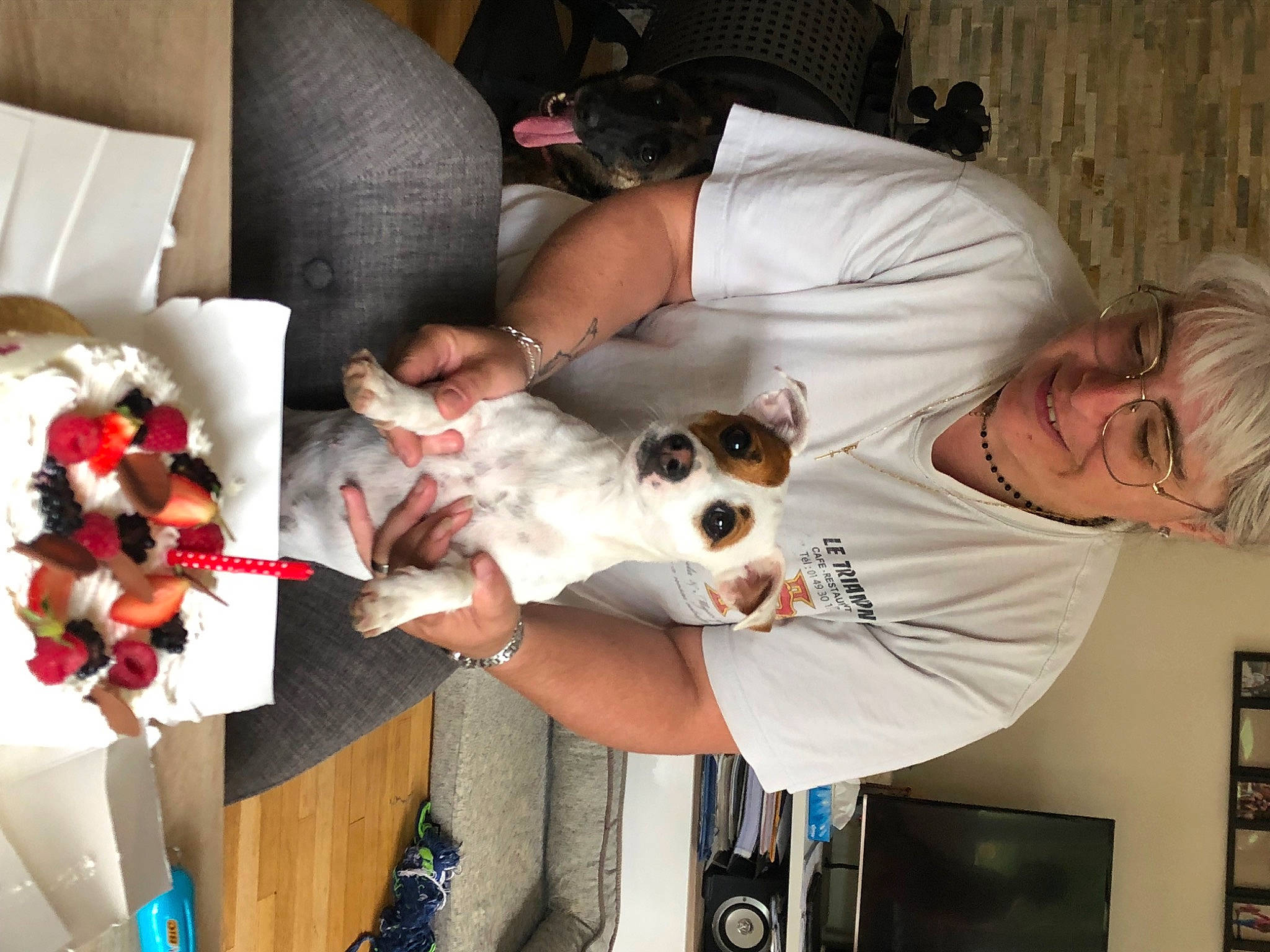 Panda a rejoint le concours — aidez-le/la à gagner de superbes lots ! arm, canidae, carmine, carnivore, comfort, companion_dog, dog, dog_breed, eyewear, fawn, felidae, fur, lap, non_sporting_group, petal, room, small_to_medium_sized_cats, sporting_group, television, toy_dog