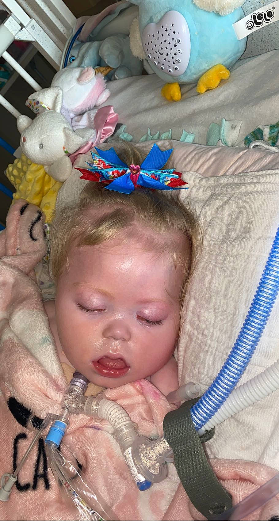 Piper joined the competition — help win amazing prizes! baby, baby_products, baby_toddler_clothing, cheek, child, ear, eyelash, face, fashion_accessory, fun, hair_accessory, happy, headband, iris, linens, nail, pattern, person, skin, textile