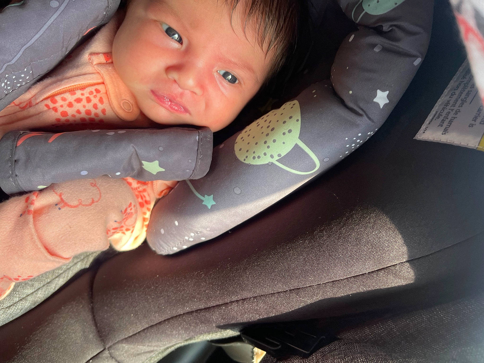 Alana joined the competition — help win amazing prizes! baby, baby_carriage, car_seat, cheek, comfort, eye, eyebrow, finger, gesture, human_body, lip, mouth, nail, nose, person, seat_belt, skin, smile, tints_and_shades, toddler