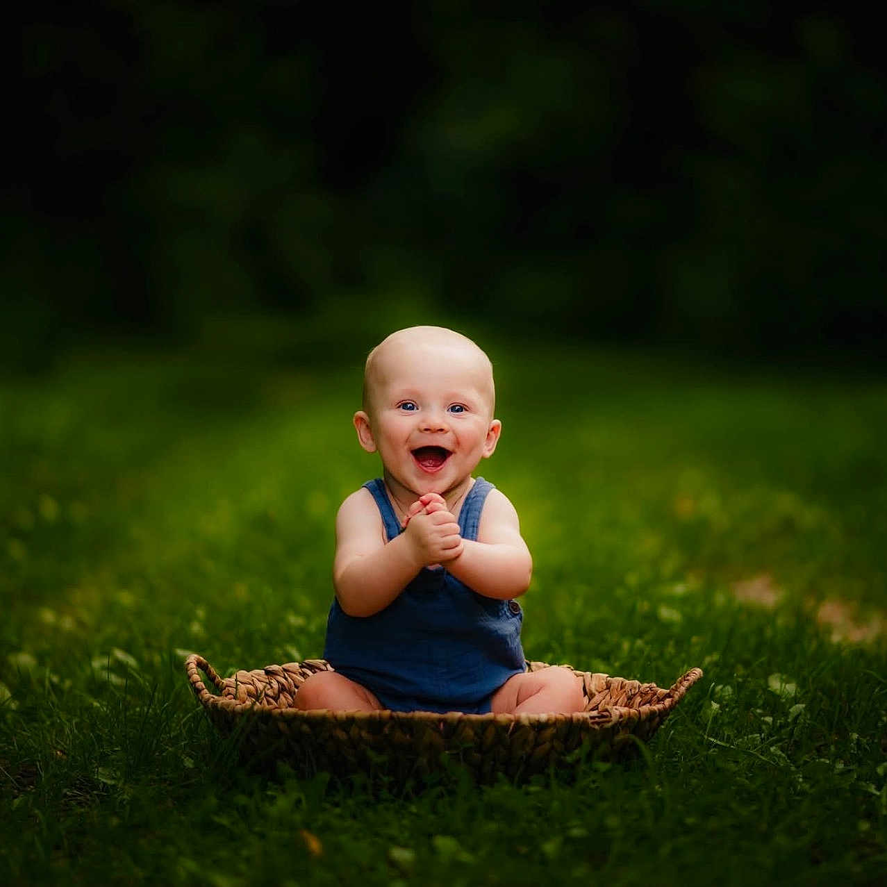 Roczen is registered to the contest to win money with this photo: baby, basket, child, childhood, clapping, cute, daylight, grass, greenery, happy, infant, nature, one_person, outdoor, people, playful, portrait, sitting, smiling, summer