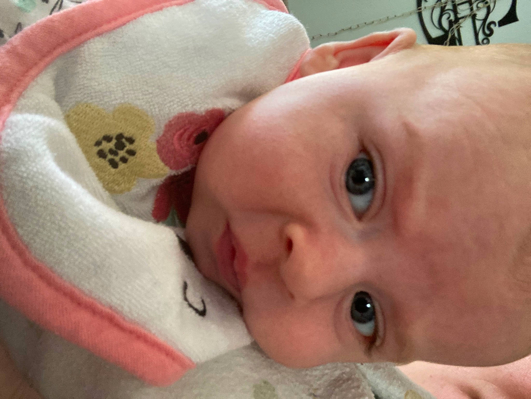 Adley joined the competition — help win amazing prizes! arm, baby, baby_toddler_clothing, cheek, comfort, ear, eye, eyebrow, eyelash, forehead, iris, lip, mammal, mouth, neck, nose, organ, person, product, skin