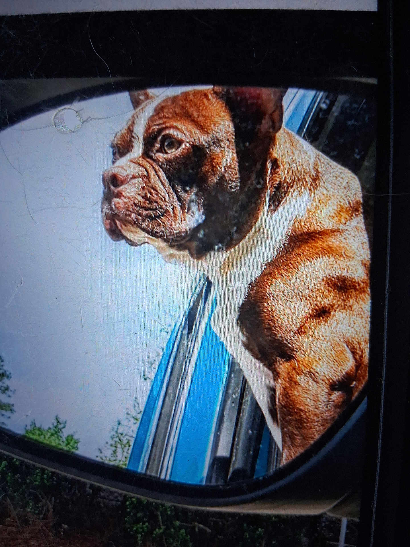 Duke
