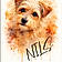 Nils