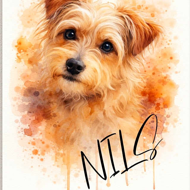 Nils