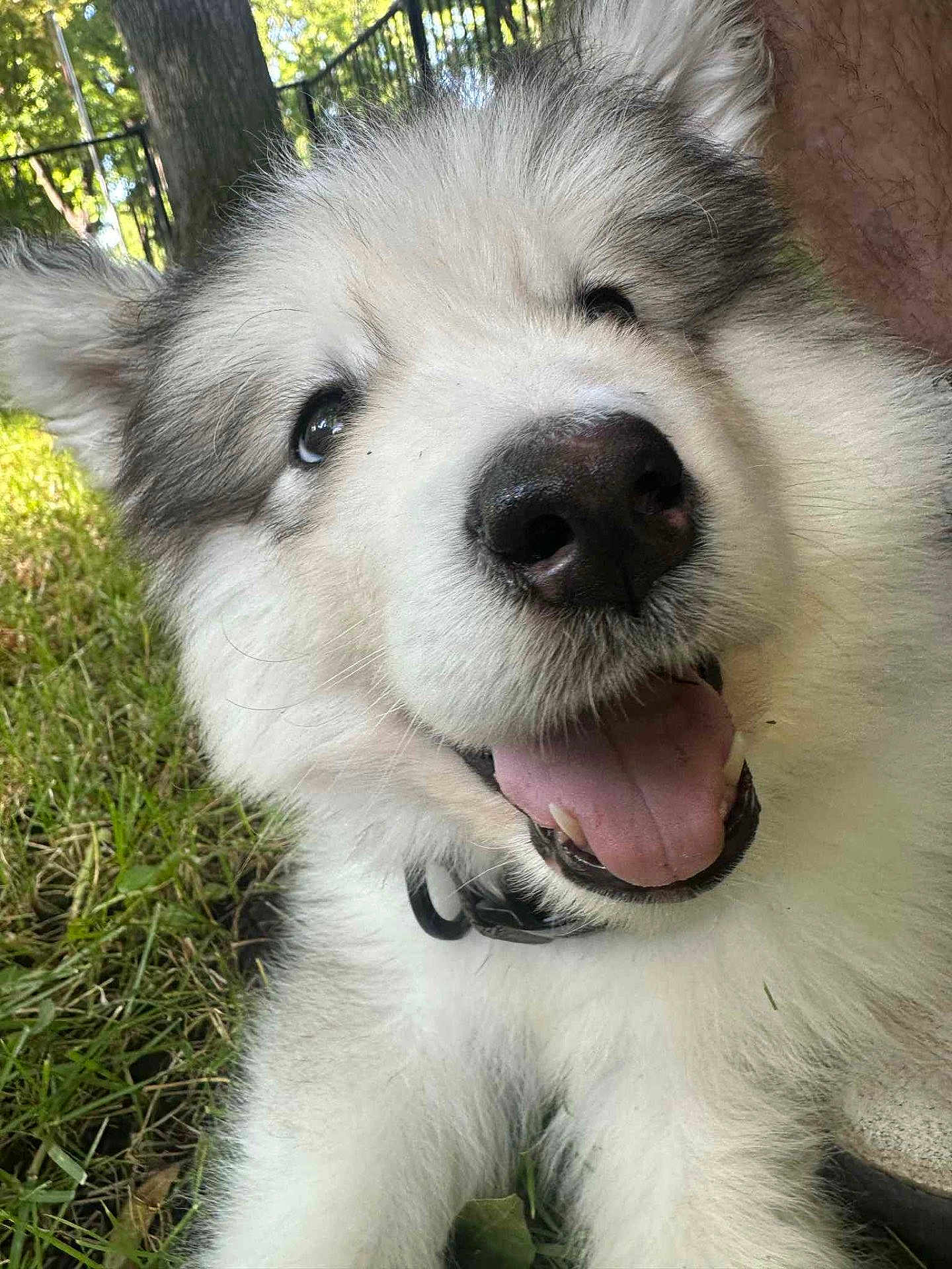 Jax