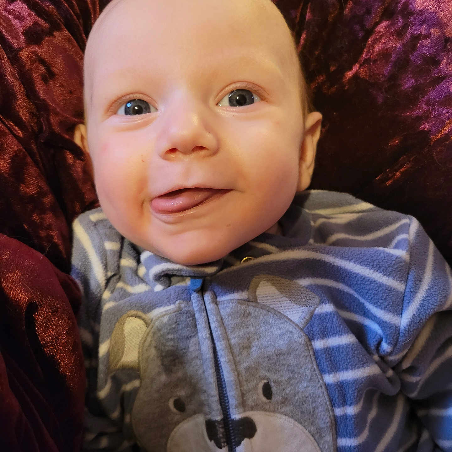 Roronoa is registered to the contest to win money with this photo: baby, bodypart, clothing, couch, cushion, face, finger, furniture, hand, happy, head, hoodie, knitwear, newborn, person, photography, portrait, smile, sweater, sweatshirt