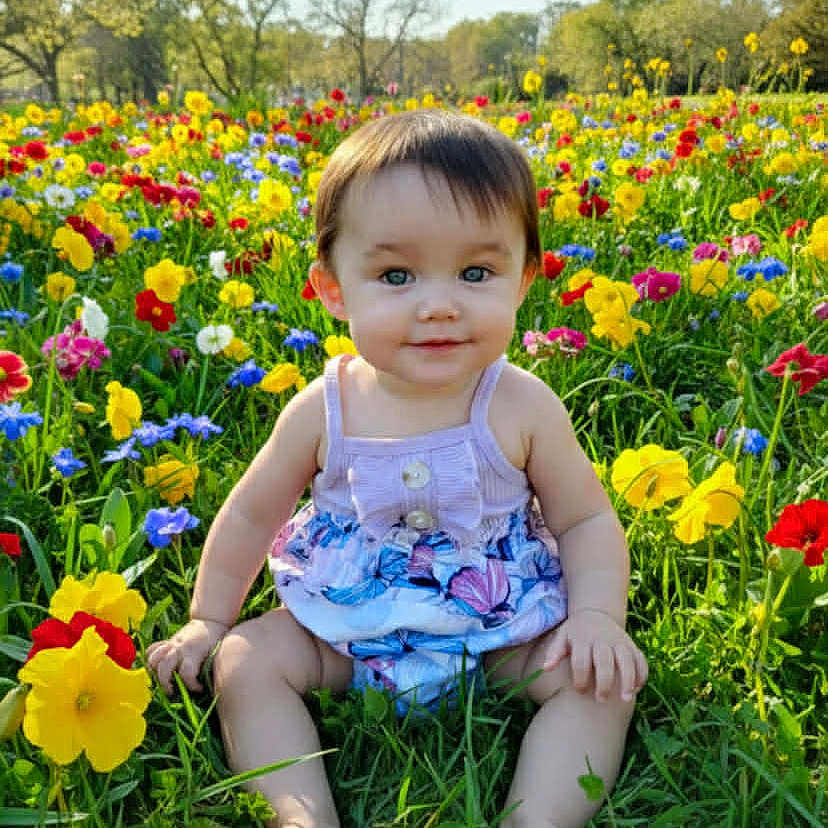 Hileigh joined the competition — help win amazing prizes! baby, child, colorful, cute, daytime, flora, flower_field, grass, greenery, happy, nature, outdoor, plants, portrait, scenic, sitting, smiling, summer, sunlight, young_child