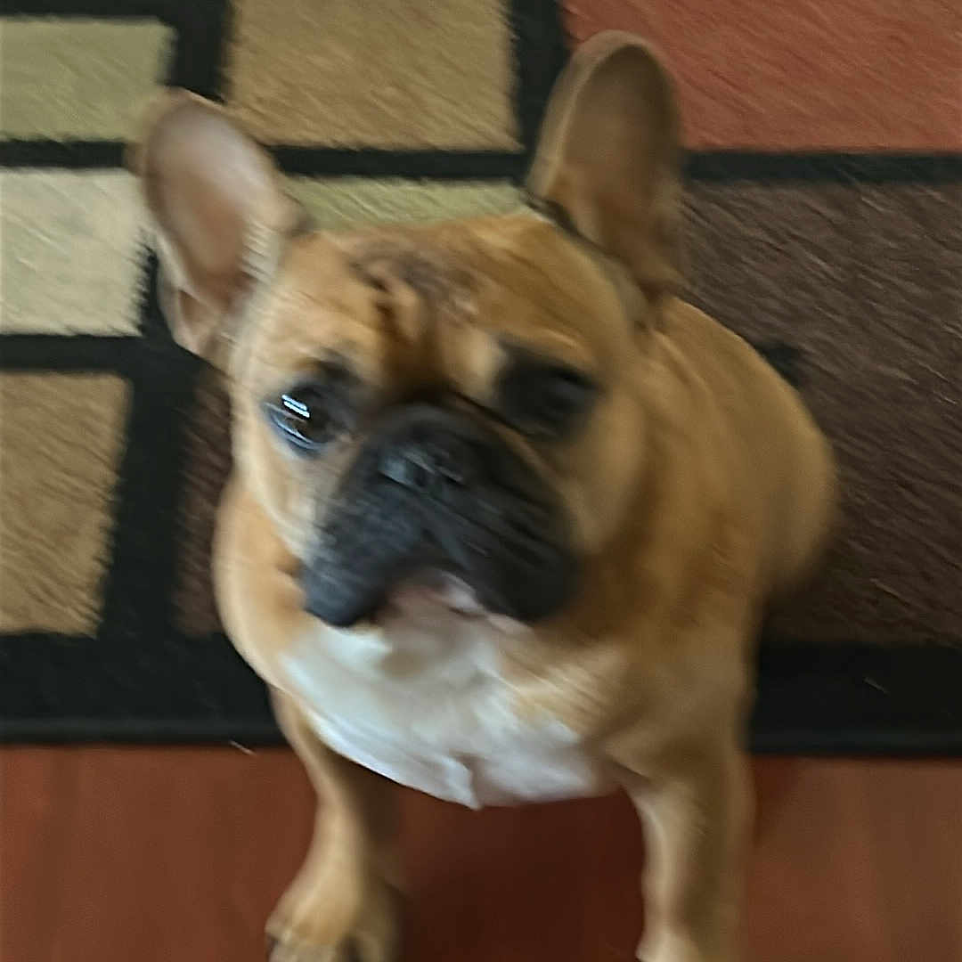 Wally