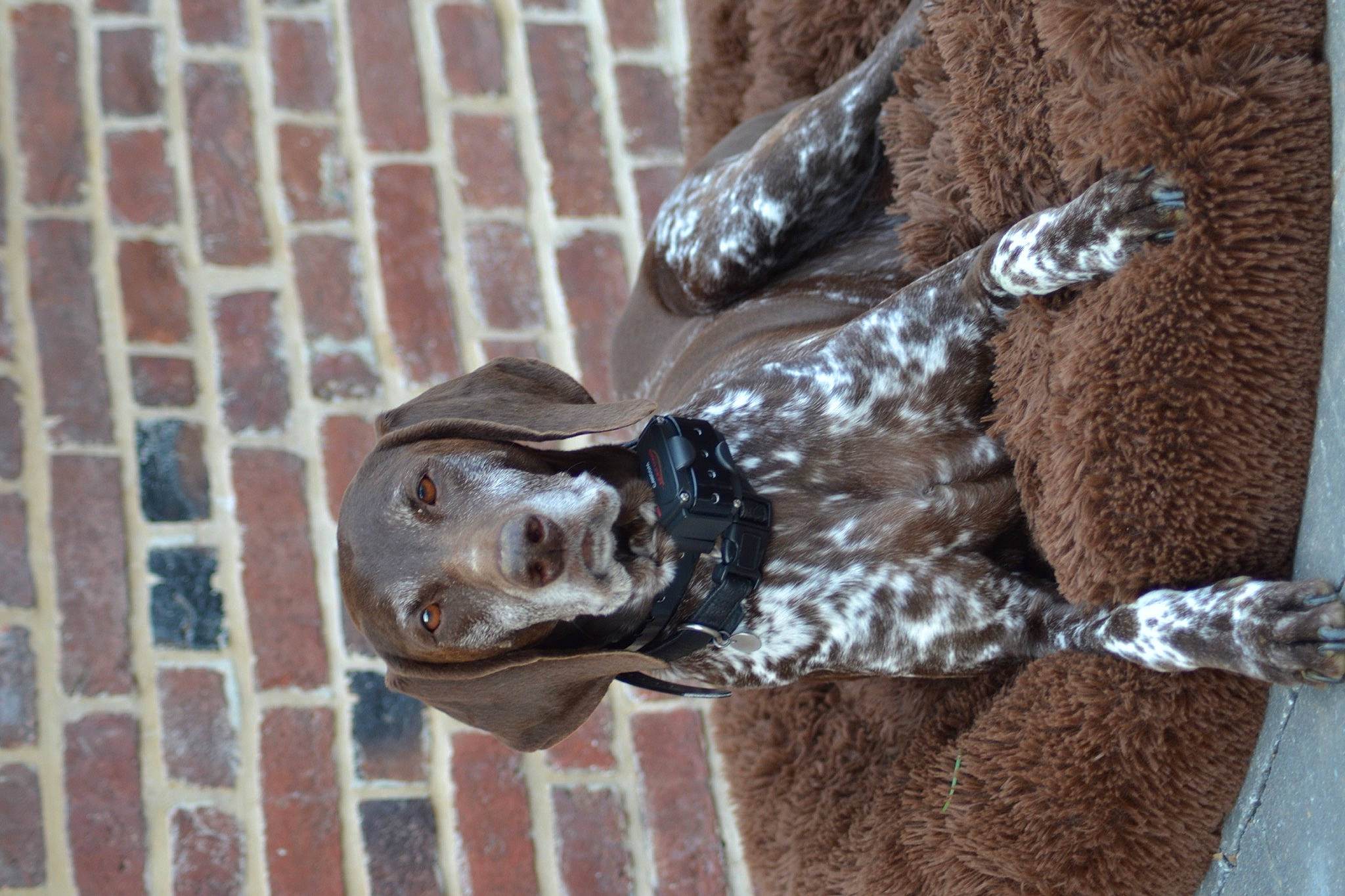 Holga participe au concours pour gagner de l'argent avec cette photo : art, brick, brickwork, bronze, bronze_sculpture, door_handle, freezing, glass, grey, lawn_ornament, metal, monument, nonbuilding_structure, sculpture, snout, sporting_group, statue, visual_arts, water, wood