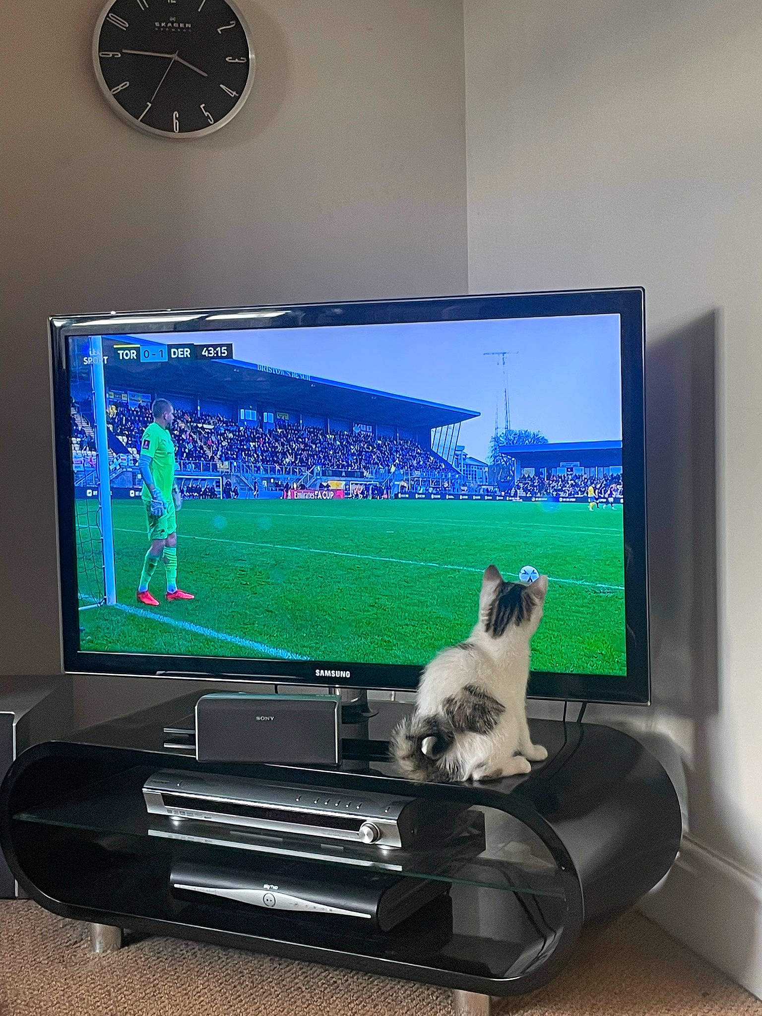 Sushi is registered to the contest to win money with this photo: audio_equipment, cable_television, clock, computer, computer_hardware, computer_keyboard, computer_monitor_accessory, desktop_computer, display_device, electronic_device, flat_panel_display, gadget, home_appliance, led_backlit_lcd_display, multimedia, output_device, peripheral, personal_computer, television, television_set