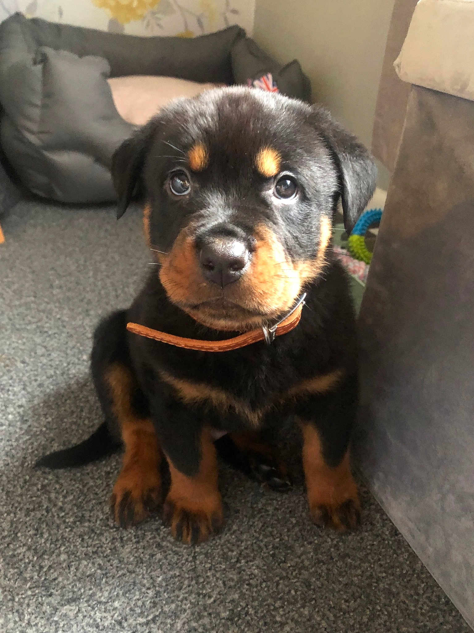 Tyson