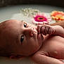 baby, infant, milk_bath, flowers, hand, skin, water, portrait, newborn, relaxation, closeup, eyes, fingers, nursery, soft_light, peaceful, cute, child, bath, flower_petals
