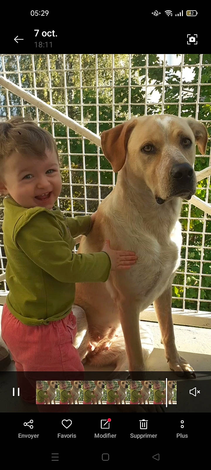 Osca a rejoint le concours — aidez-le/la à gagner de superbes lots ! animal_shelter, canidae, carnivore, collar, companion_dog, dog, dog_breed, dog_collar, fawn, fence, happy, hound, pet_supply, plant, smile, snout, sporting_group, toddler, whiskers, working_animal