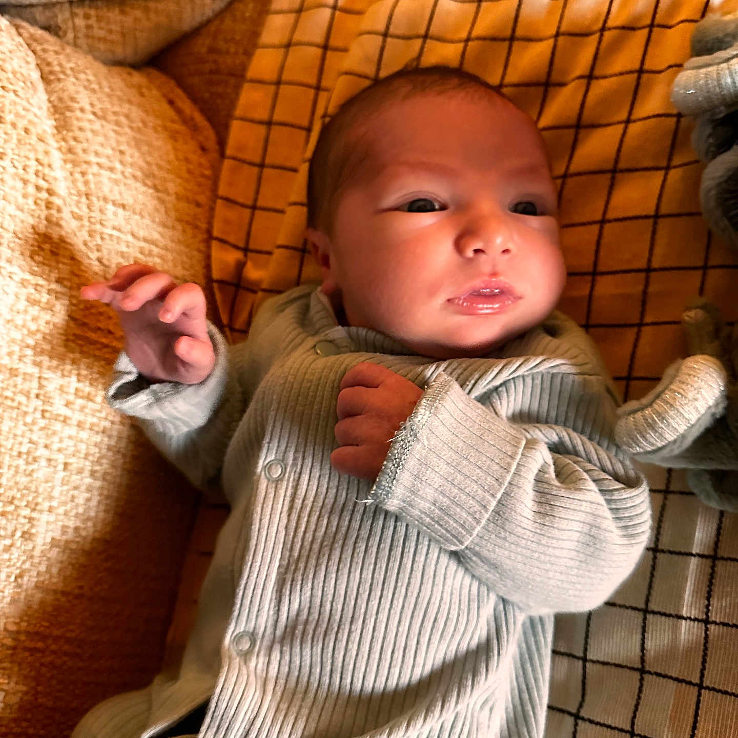 Louca participe au concours pour gagner de l'argent avec cette photo : newborn, baby, infant, onesie, blanket, cushion, face, hand, cozy, indoors, soft_lighting, portrait, cute, sleepwear, child, resting, home, warm_colors, fabric, comfort