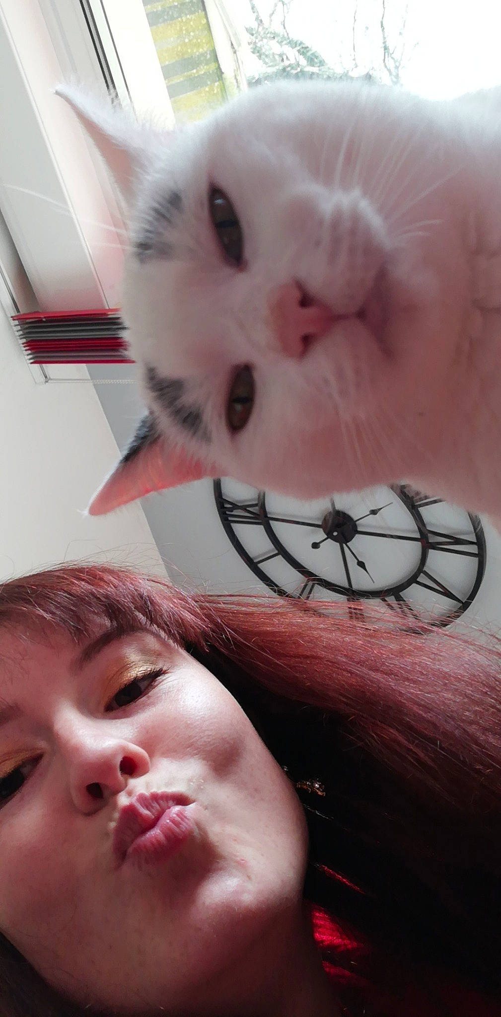 Raymond a rejoint le concours — aidez-le/la à gagner de superbes lots ! carnivore, cat, cheek, child, ear, eye, eyelash, face, felidae, fur, head, lip, mouth, nose, paw, selfie, small_to_medium_sized_cats, snout, whiskers