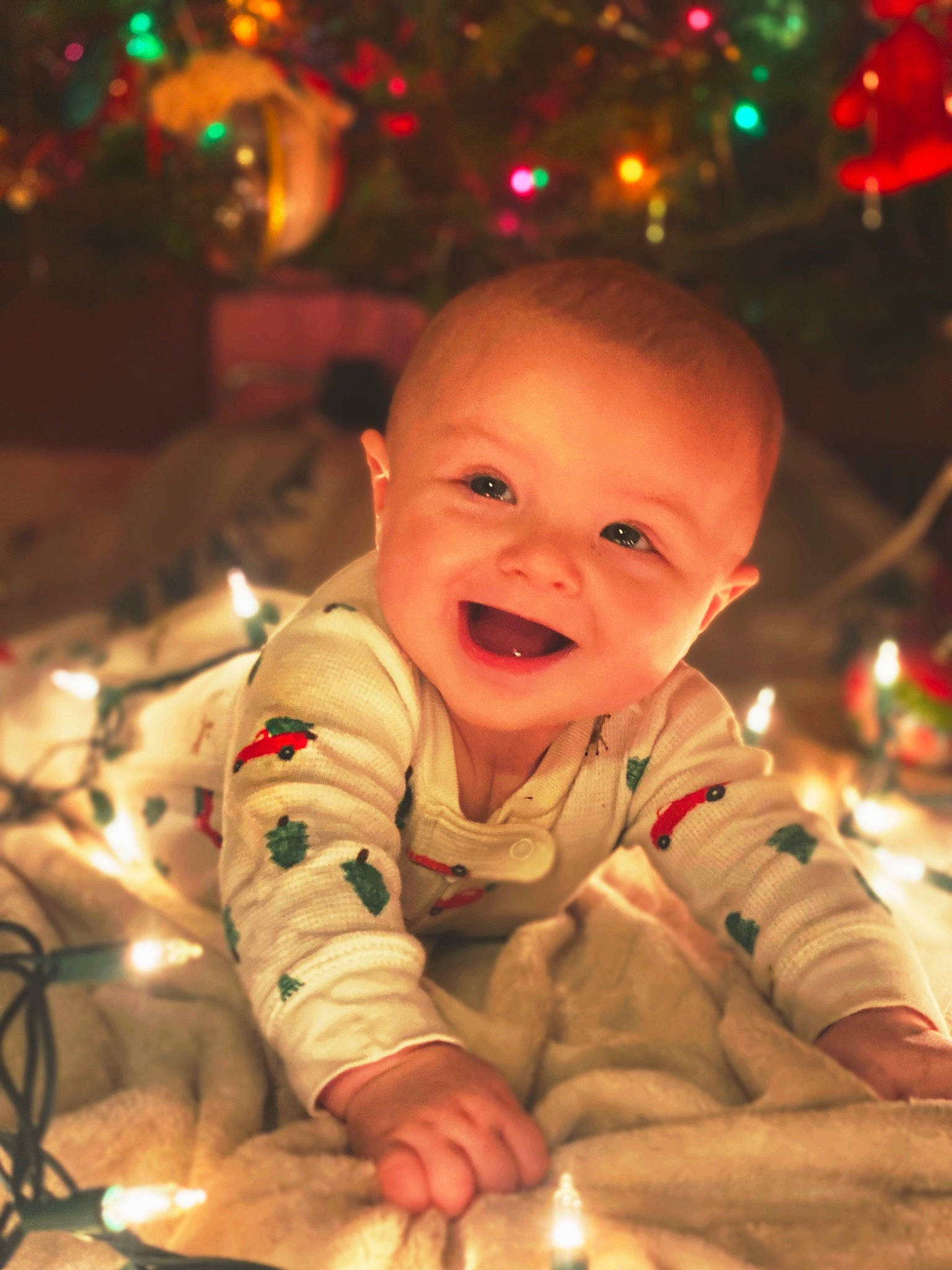 Landon is registered to the contest to win money with this photo: baby, baby_toddler_clothing, beauty, cheek, christmas_ornament, christmas_tree, eye, face, facial_expression, fun, green, hair, happy, head, human_body, iris, joy, light, person, smile
