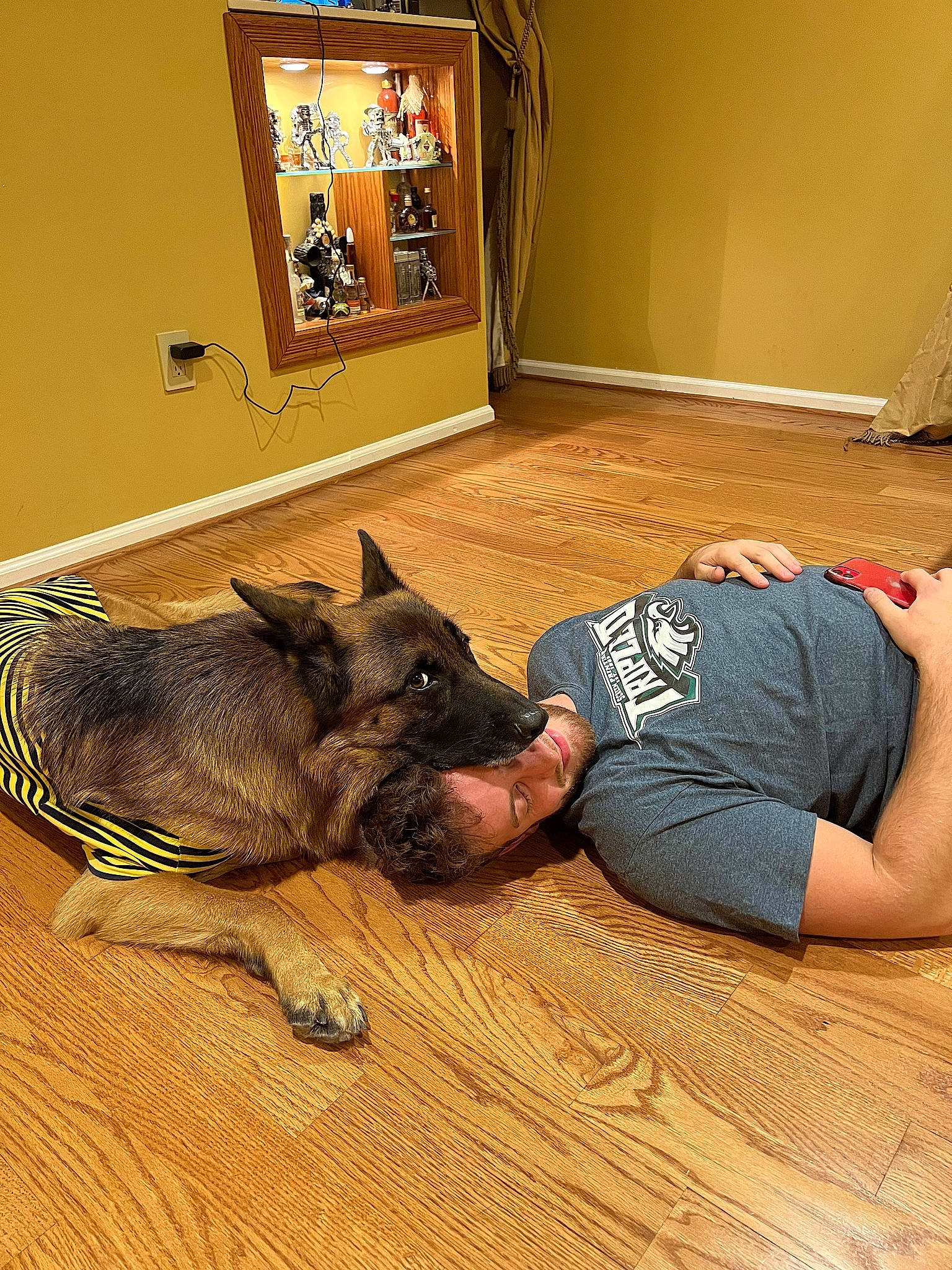 Zeus joined the competition — help win amazing prizes! canidae, carnivore, carpet, comfort, companion_dog, dog, dog_breed, fawn, felidae, floor, flooring, fur, hardwood, small_to_medium_sized_cats, snout, sporting_group, terrestrial_animal, wood, wood_flooring, working_animal