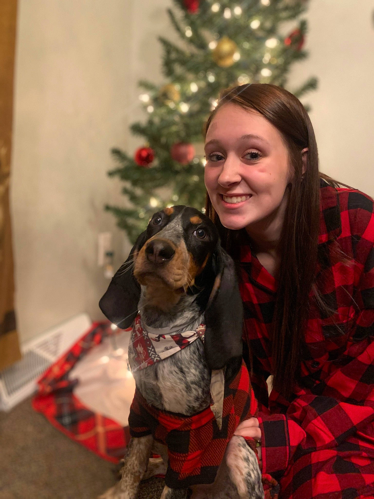Sadie Mae joined the competition — help win amazing prizes! carnivore, christmas, christmas_decoration, christmas_eve, christmas_ornament, christmas_tree, companion_dog, dog, dog_breed, event, fawn, fun, happy, holiday, holiday_ornament, ornament, plaid, smile, tartan, tree