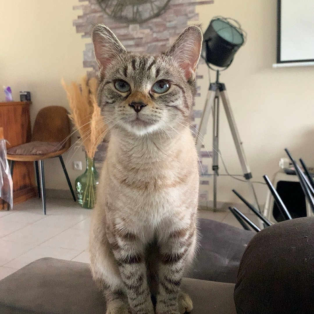 Nilah