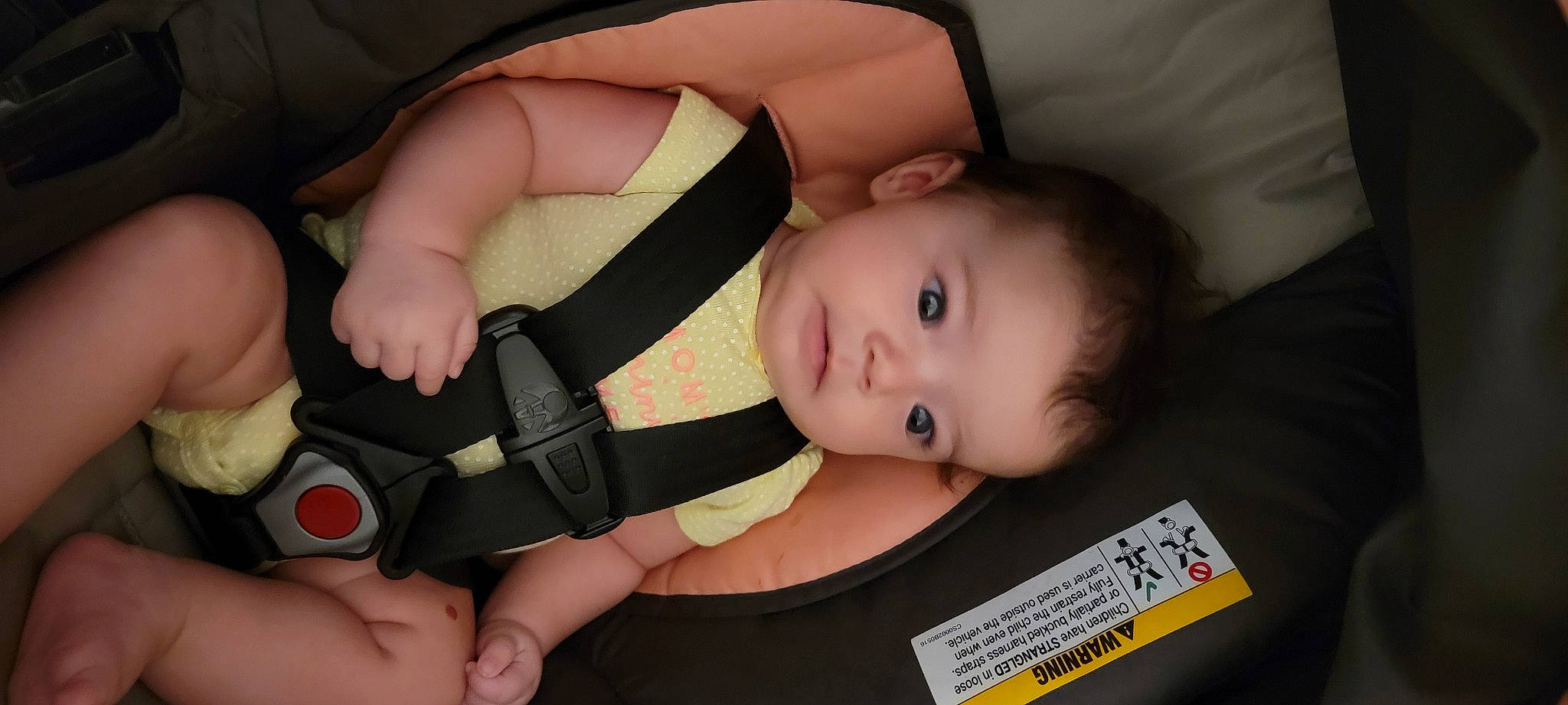 Esmae joined the competition — help win amazing prizes! baby, baby_carriage, baby_products, baby_toddler_clothing, beauty, cheek, child, comfort, eyelash, finger, hand, iris, mammal, mouth, nail, person, product, skin, thumb, toddler