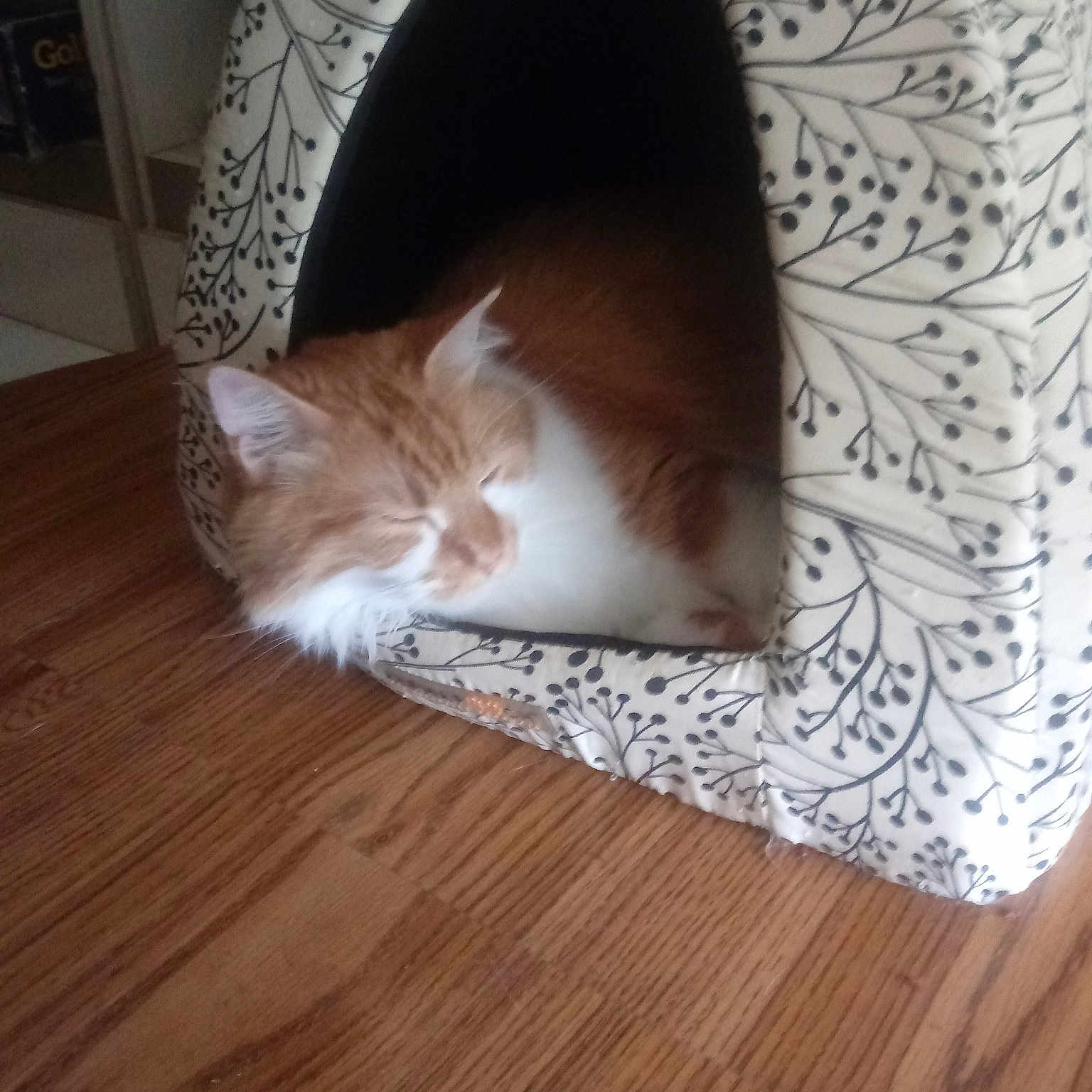 Max