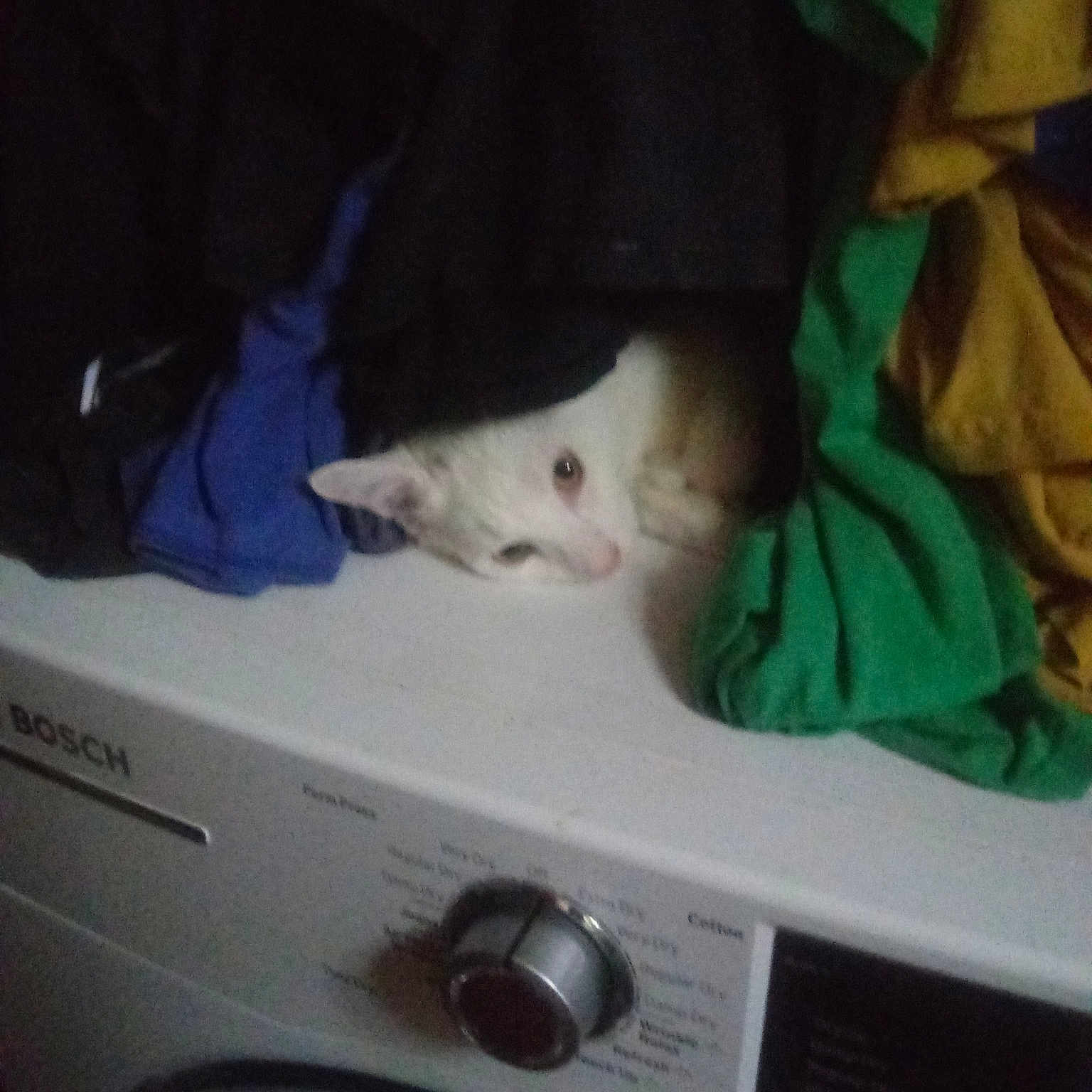 Luka