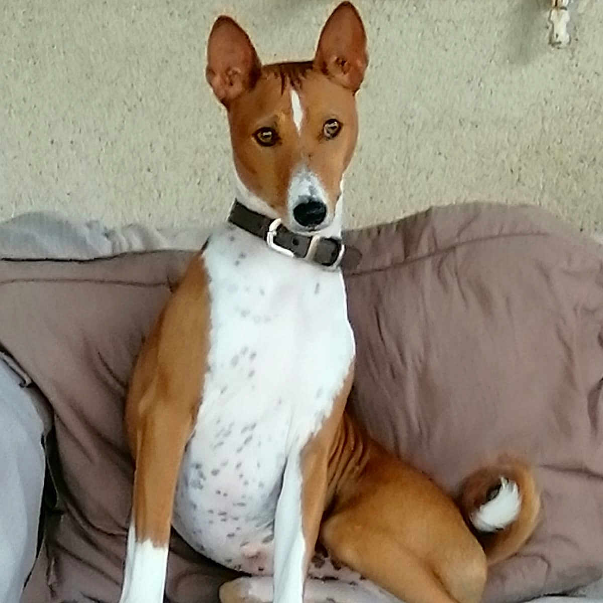 Parker