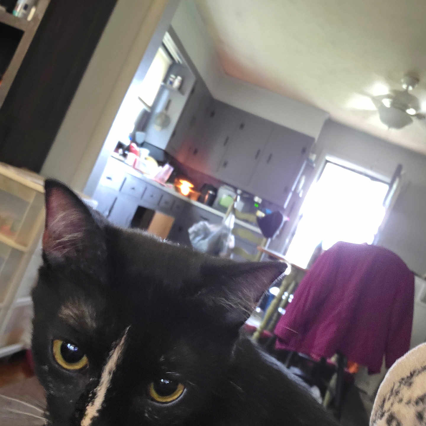 Fiona