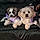 Dior And Coco