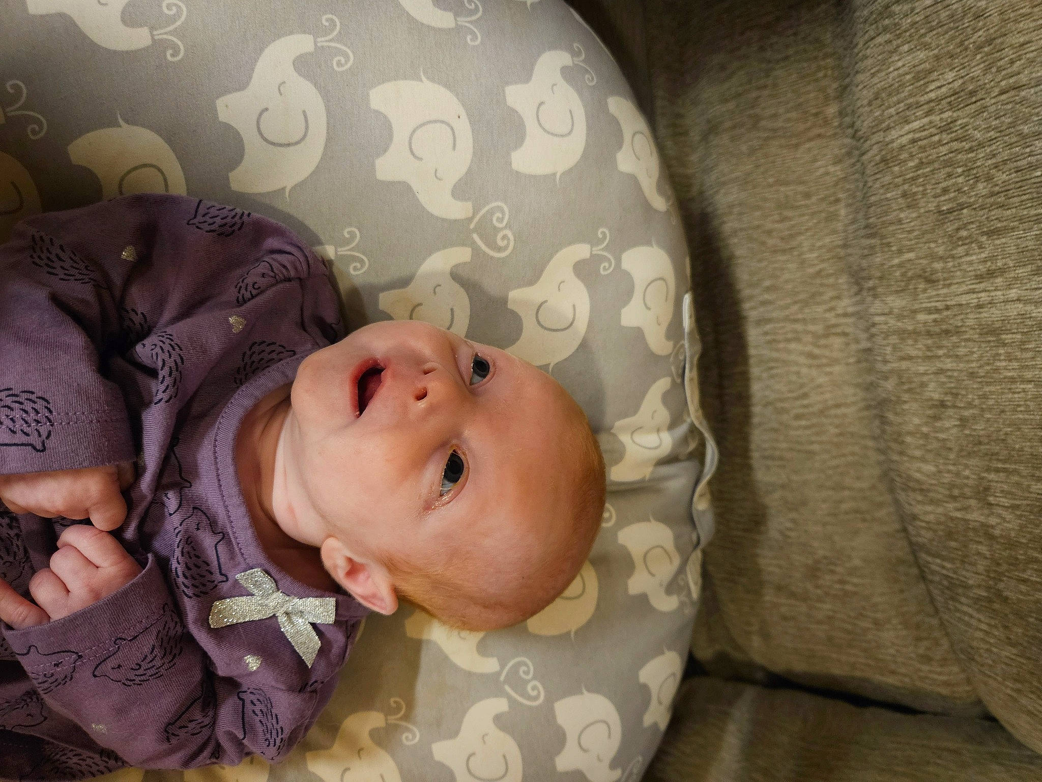 Brooklyn joined the competition — help win amazing prizes! baby, baby_products, baby_toddler_clothing, brown, cheek, child, comfort, eye, face, grass, linens, pattern, person, room, sitting, skin, sleeve, textile, toddler, tree