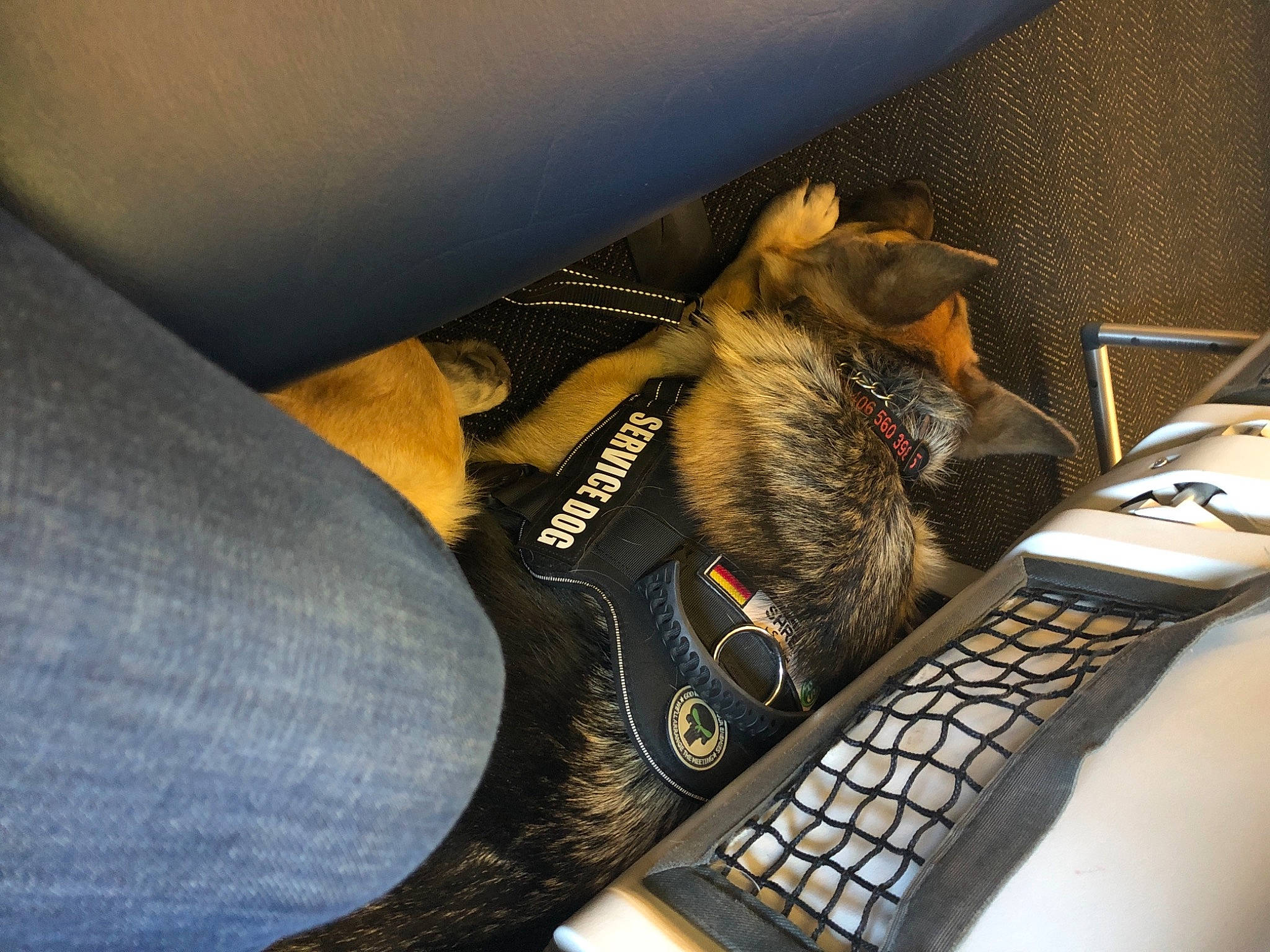 Gunner is registered to the contest to win money with this photo: communication_device, computer, computer_accessory, computer_component, computer_hardware, computer_keyboard, electronic_device, gadget, input_device, multimedia, numeric_keypad, office_equipment, office_instrument, office_supplies, peripheral, personal_computer, personal_computer_hardware, space_bar, telephone, telephony