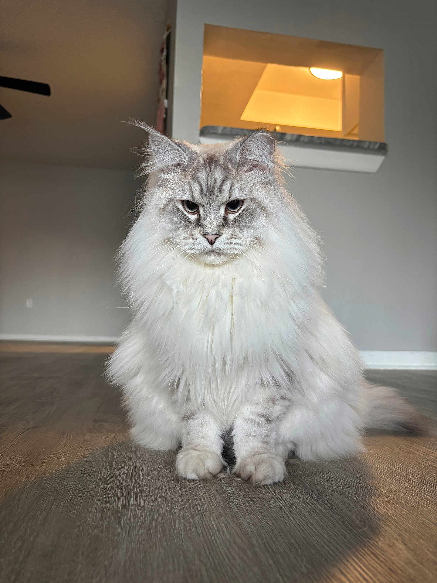 Milo