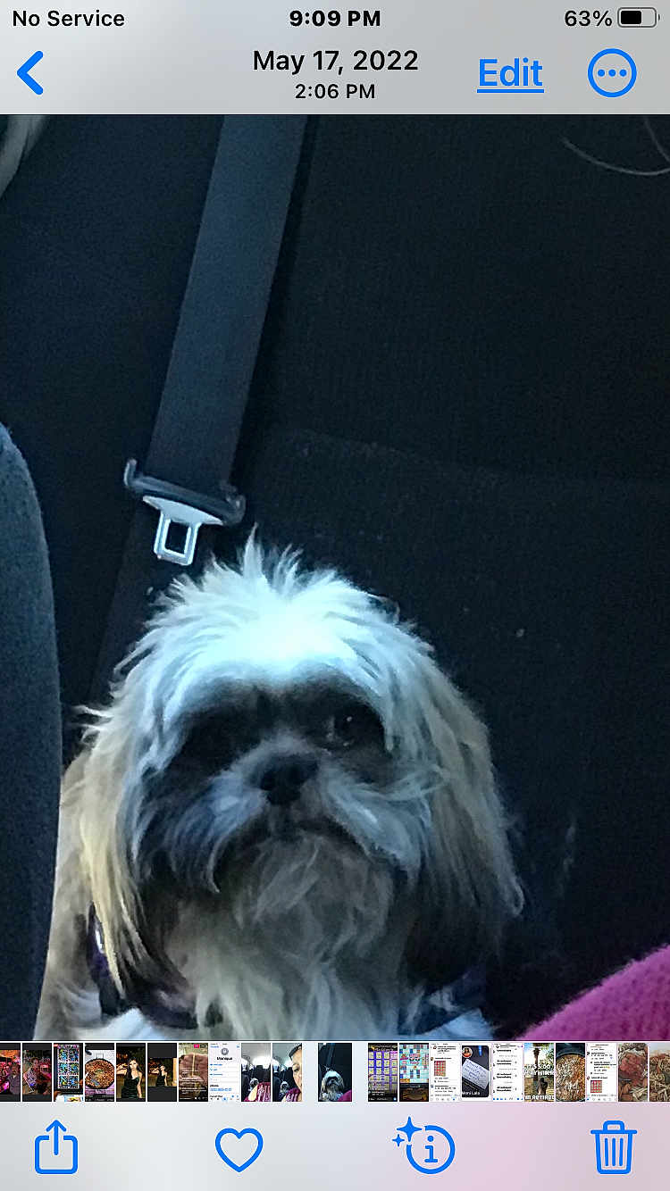 Max
