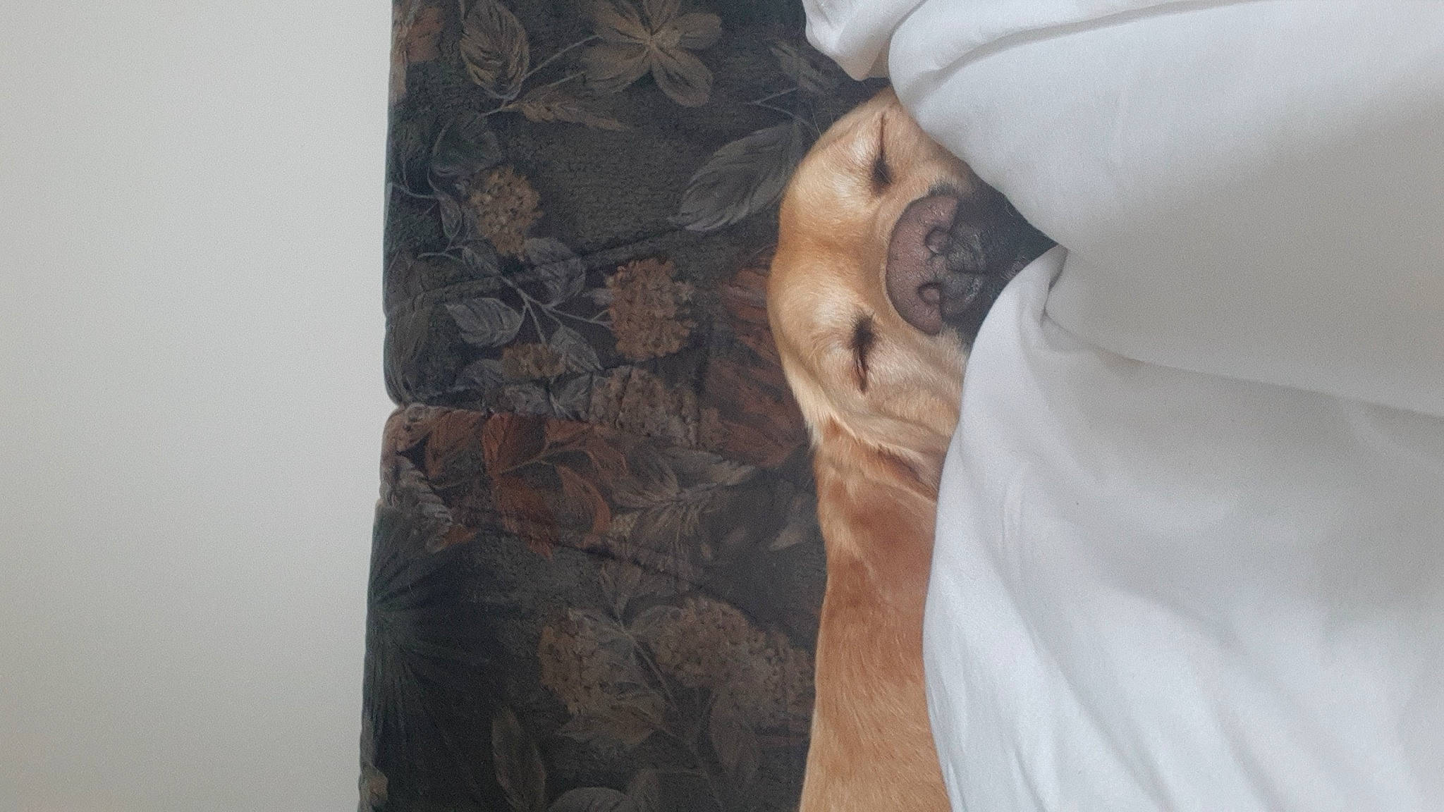 Vick participe au concours pour gagner de l'argent avec cette photo : chest, comfort, flesh, formal_wear, grey, hand, human_body, linens, neck, outerwear, pattern, room, shoulder, sleeve, t_shirt, tree, visual_arts, wood