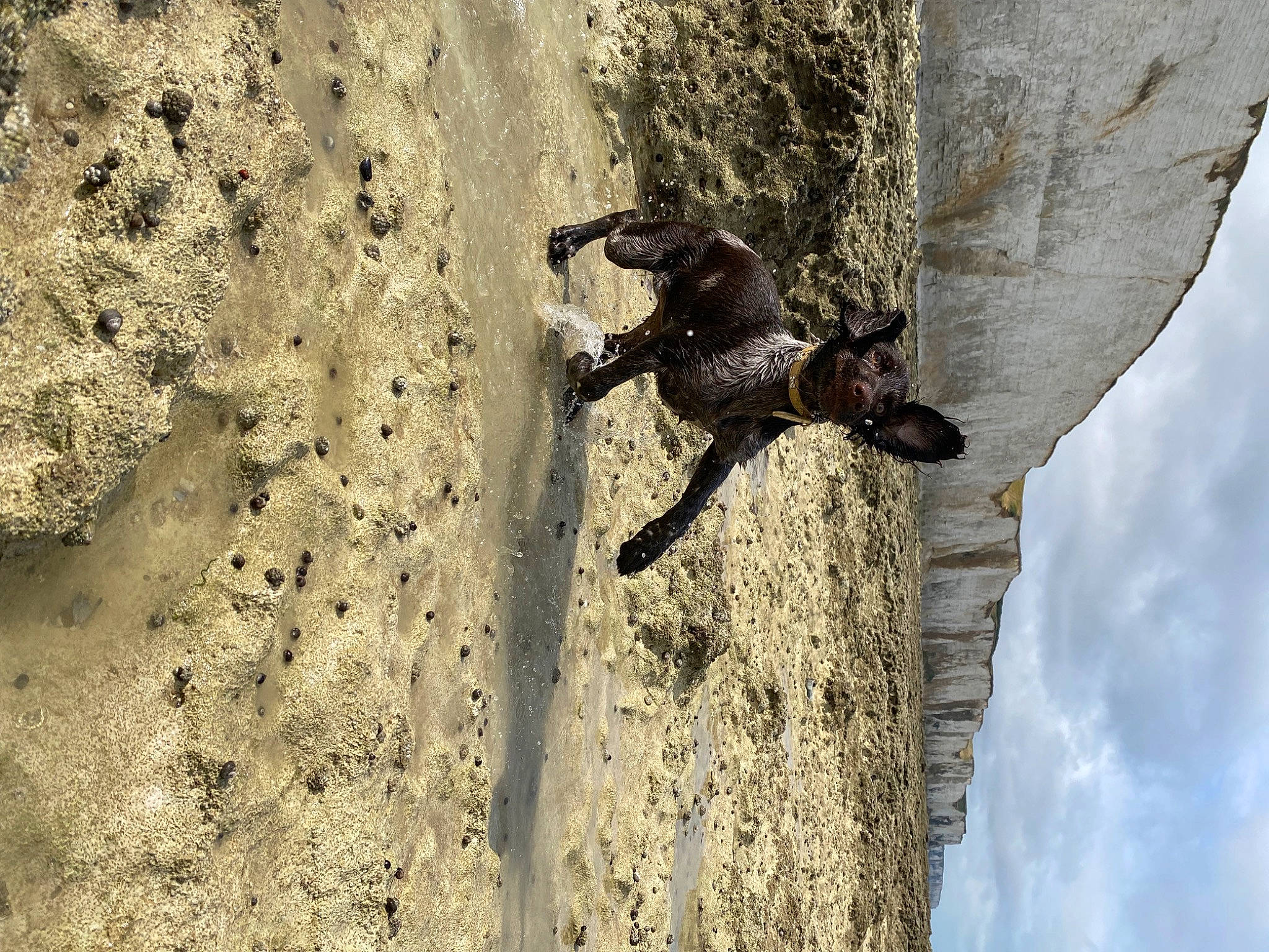 Uby participe au concours pour gagner de l'argent avec cette photo : adventure, bedrock, climbing, climbing_harness, climbing_shoe, cloud, extreme_sport, formation, landscape, mountaineer, outcrop, recreation, rock, rock_climbing_equipment, rope, shadow, sky, sport_climbing, wall, wood