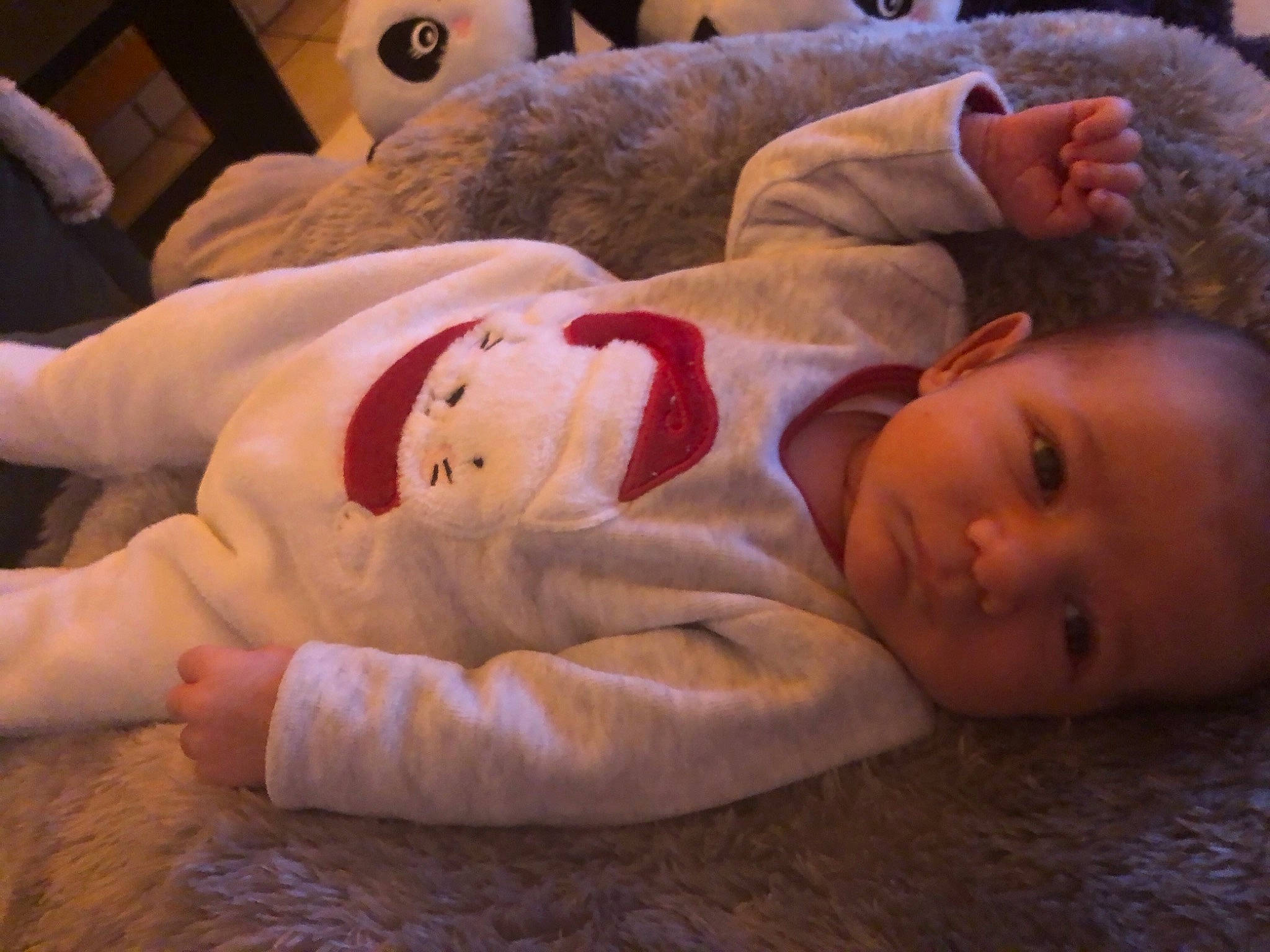 Gabriel participe au concours pour gagner de l'argent avec cette photo : baby, baby_toddler_clothing, cheek, comfort, eye, face, flooring, fun, fur, head, linens, mammal, mouth, nose, person, room, skin, stuffed_toy, toddler, toy