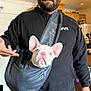 man, dog, french_bulldog, puppy, indoor, cap, glasses, black_clothing, sling_bag, ears, face, expression, kitchen, wood_floor, cabinet, refrigerator, casual, pet, cute, portrait