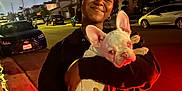 Hakeem Barkquavious joined the competition — help win amazing prizes! person, dog, french_bulldog, street, night, smiling, holding, hoodie, car, sidewalk, residential_area, outdoor, pet, happy, urban, canine, evening, headwear, glasses, joy
