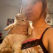 Kitty participe au concours pour gagner de l'argent avec cette photo : person, cat, indoor, selfie, fluffy_cat, holding, pout, light_glare, dress, floral_pattern, black_lace, curious_cat, warm_lighting, face, hair, hand, room, blurred_background, cute, pet