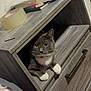 cat, gray_cat, white_paws, furniture, drawer, wooden_cabinet, indoor, curious, pet, animal, whiskers, alert, household_items, tape, books, black_hairpin, floor, cozy, domestic, cute