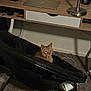Steve is registered to the contest to win money with this photo: cat, ginger_cat, chair, indoor, carpet, desk, laptop, lamp, cord, black_fabric, furniture, pet, cozy, alert, curious, home_office, wooden_desk, technology, floor, room