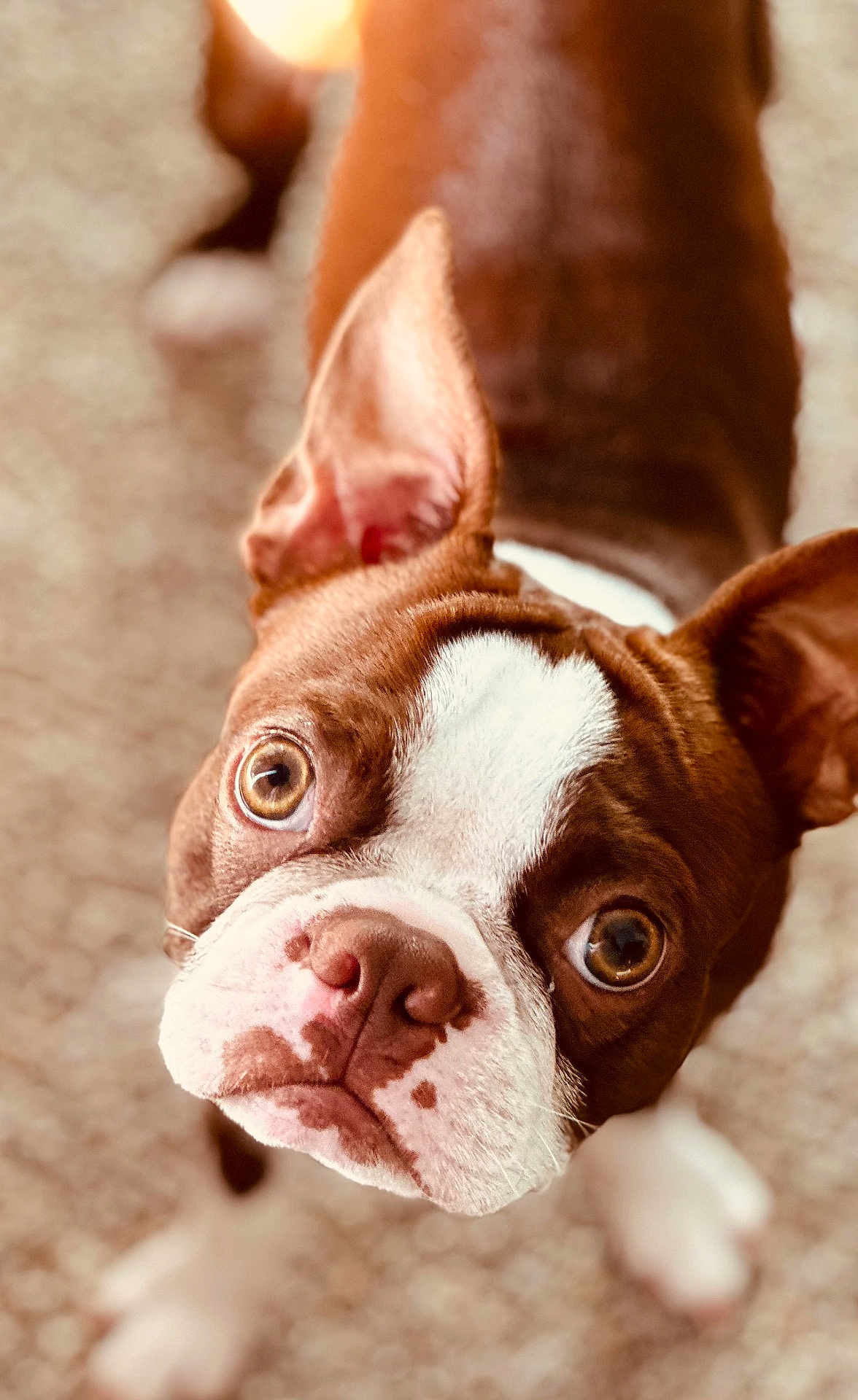 Charlie