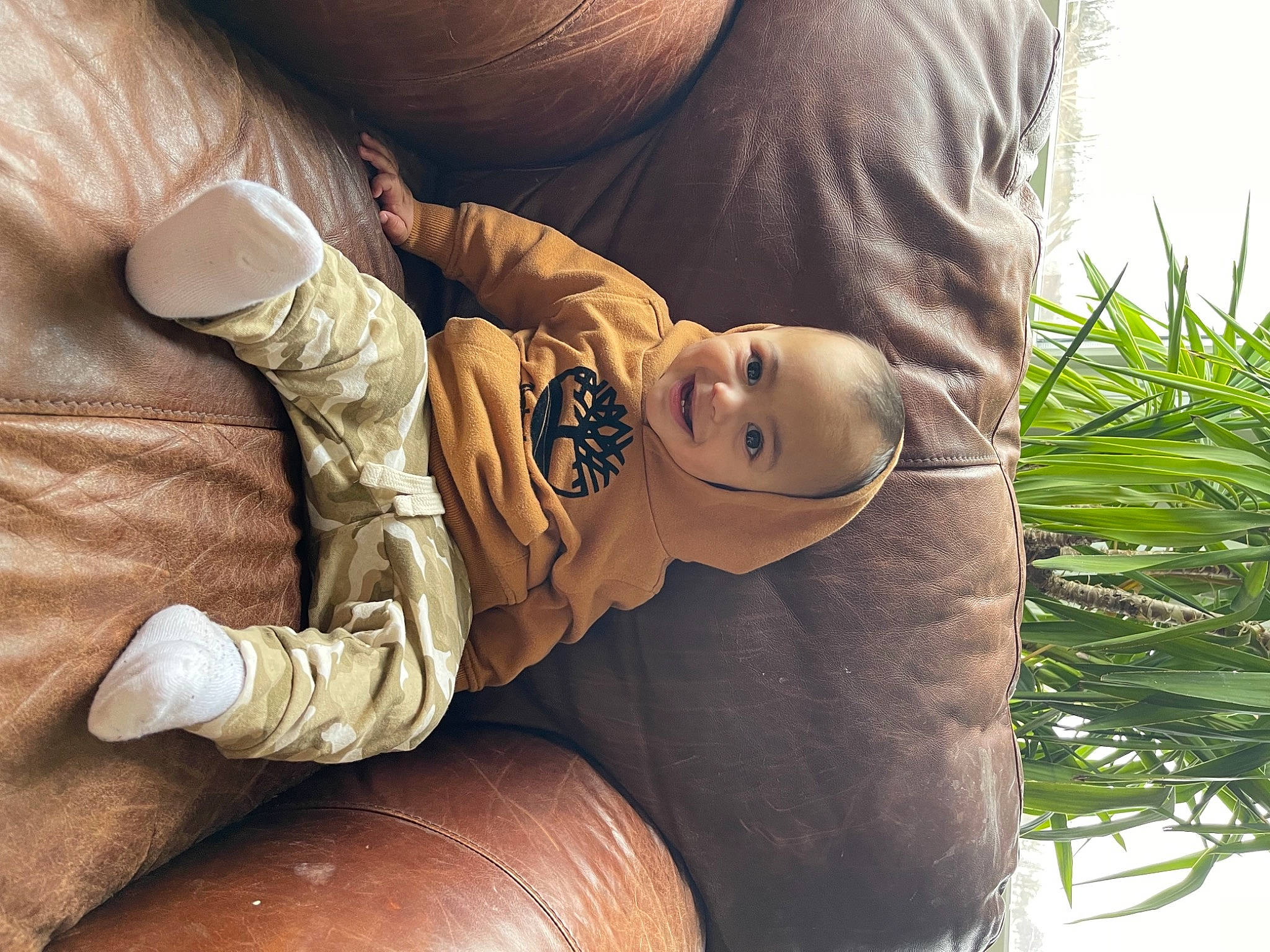 Amadeus is registered to the contest to win money with this photo: abdomen, chest, comfort, elbow, glasses, grass, hand, happy, human_body, human_leg, joy, knee, person, plant, shoulder, skin, sleeve, thigh, toddler, tree