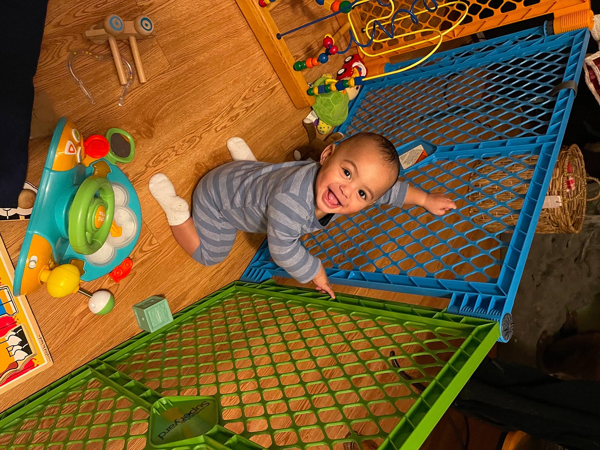 Amadeus joined the competition — help win amazing prizes! baby, baby_products, baby_safety, baby_toddler_clothing, baby_toys, bed, child, comfort, flooring, fun, green, hardwood, joy, leisure, person, play, product, room, sitting, toddler