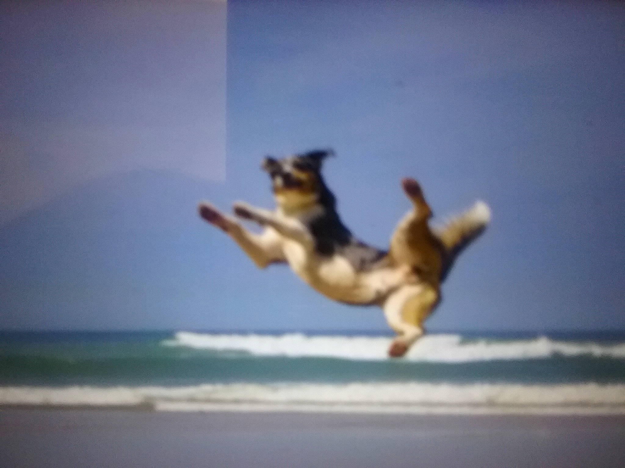 Pepsi participe au concours pour gagner de l'argent avec cette photo : balance, beach, calm, cloud, gesture, happy, horizon, landscape, leisure, ocean, people_in_nature, people_on_beach, recreation, sand, seabird, sky, sports, travel, water, wind_wave