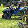 adventure, blue, daytime, dog, dog_sitting, grass, greenery, metal, nature, off_road_vehicle, outdoor, pinwheel, rural, seat, steering_wheel, summer, tree, vehicle, woodpile, yard