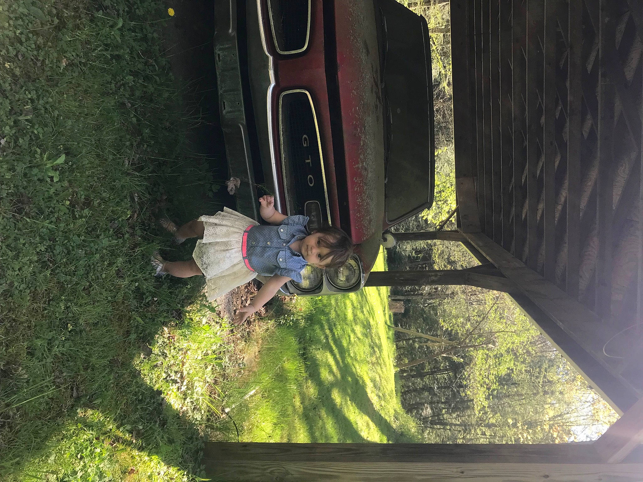 Winter joined the competition — help win amazing prizes! automotive_exterior, automotive_lighting, automotive_tire, automotive_wheel_system, biome, bumper, fun, grass, leaf, leisure, line, motor_vehicle, person, plant, tints_and_shades, tire, tree, vehicle_door, wheel, window